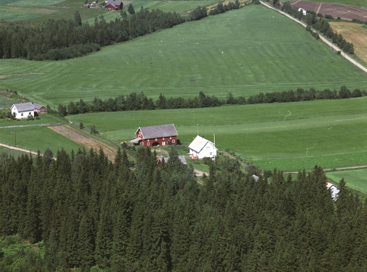 Widerøes Flyveselskap A/S, Flyfoto, småbruk, Torp, Nes, Hedmark.