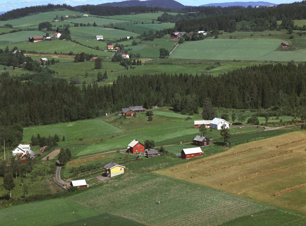Widerøes Flyveselskap A/S, Flyfoto, småbruk, boliger, hesjer, Fredlund, Glemmestad, Nes, Hedmark.