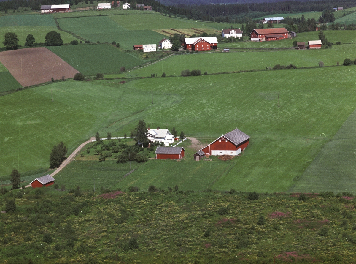 Widerøes Flyveselskap A/S, Flyfoto, småbruk, Hulleberg øvre, Nes, Hedmark.