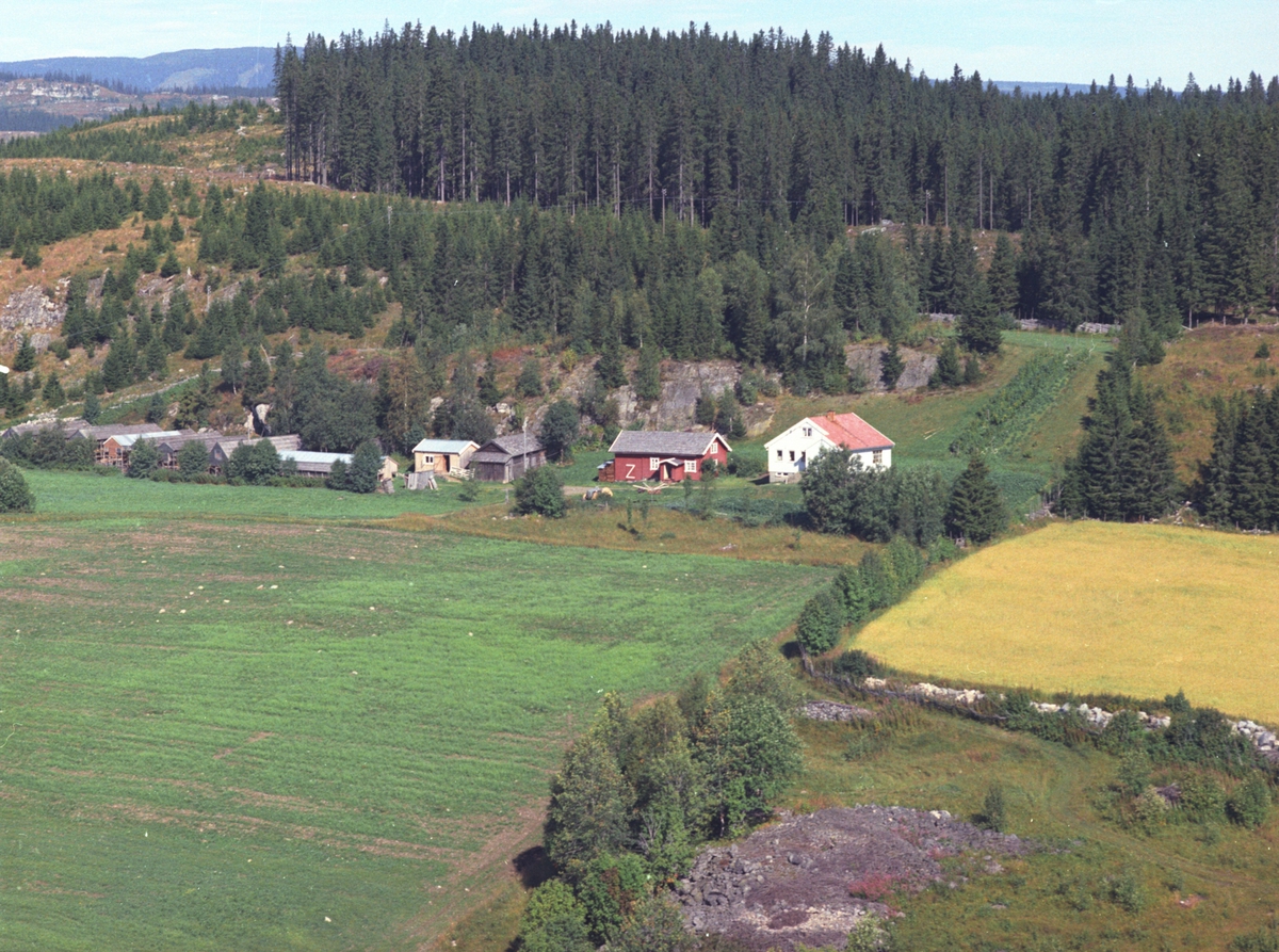 Widerøes Flyveselskap A/S, Flyfoto, Bergestuen, Åsmarka, Ringsaker.