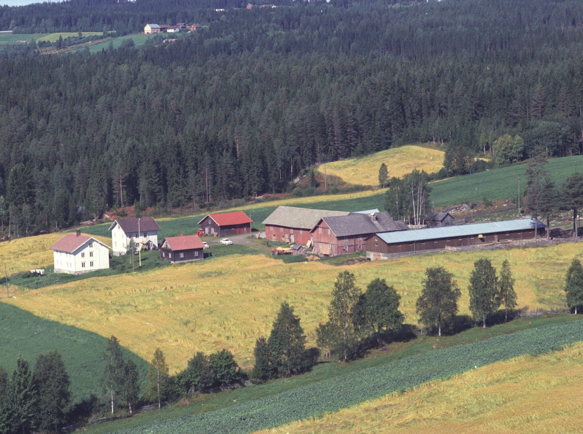 Widerøes Flyveselskap A/S, Flyfoto, Hemma nordre, Åsmarka, Ringsaker.