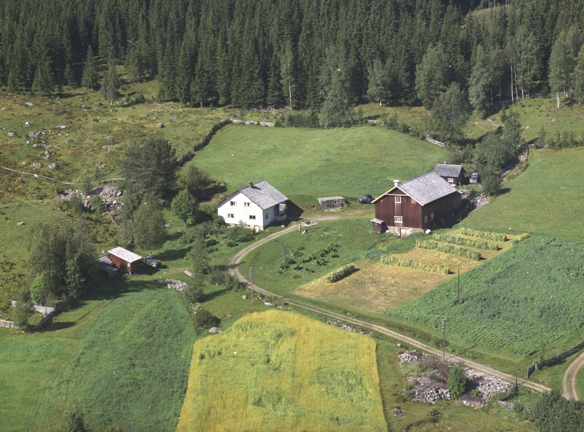 Widerøes Flyveselskap A/S, Flyfoto, Prestsveen, Åsmarka, Ringsaker.