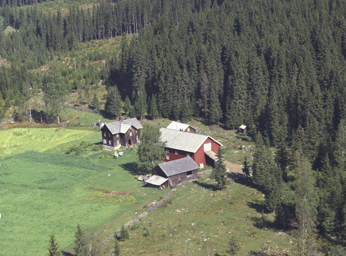 Widerøes Flyveselskap A/S, Flyfoto, Tørtophagen, Åsmarka, Ringsaker.