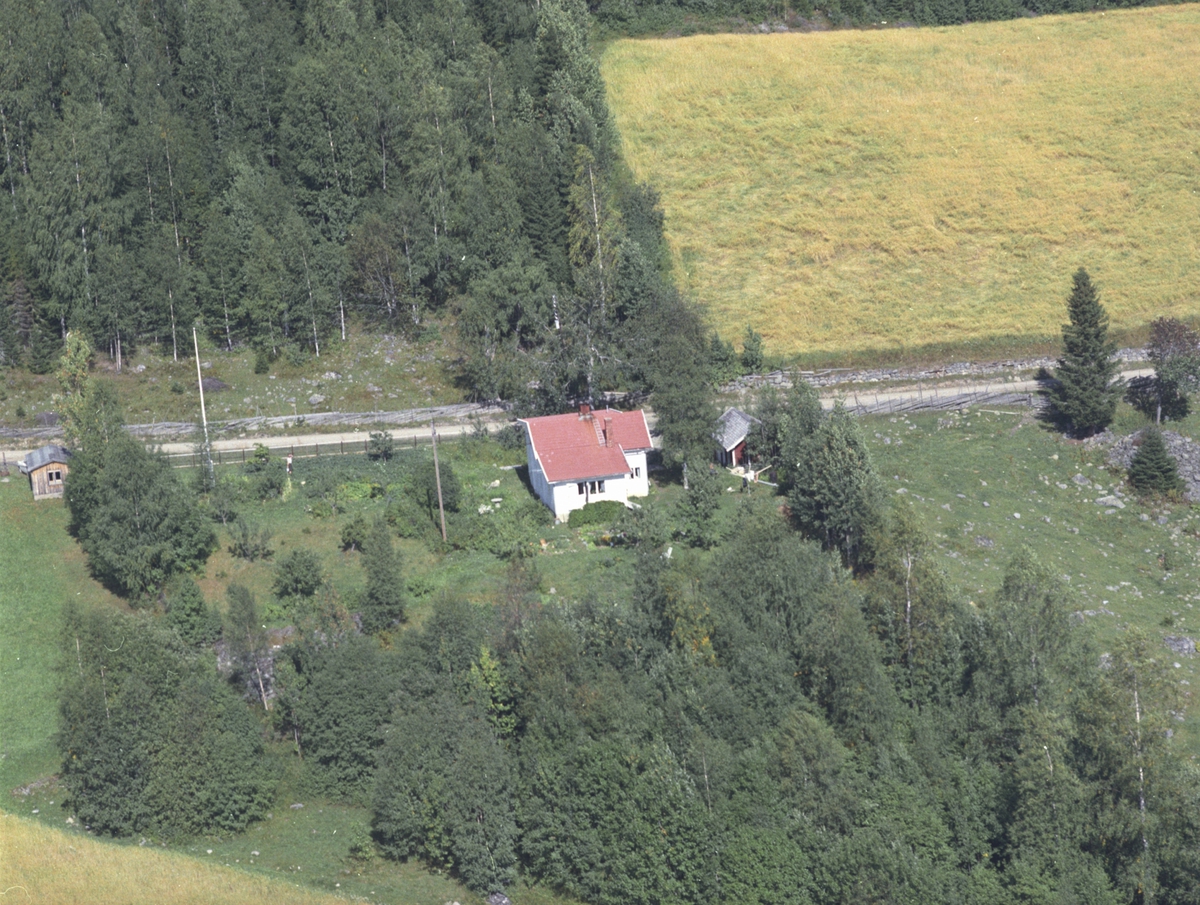 Widerøes Flyveselskap A/S, Flyfoto,Haugli, g.nr. 450.13, Lismarka, Ringsaker.