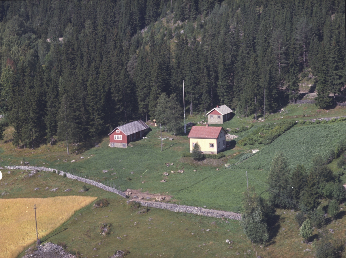 Widerøes Flyveselskap A/S, Flyfoto, Hauglund, g.nr. 449.9, Lismarka, Ringsaker.