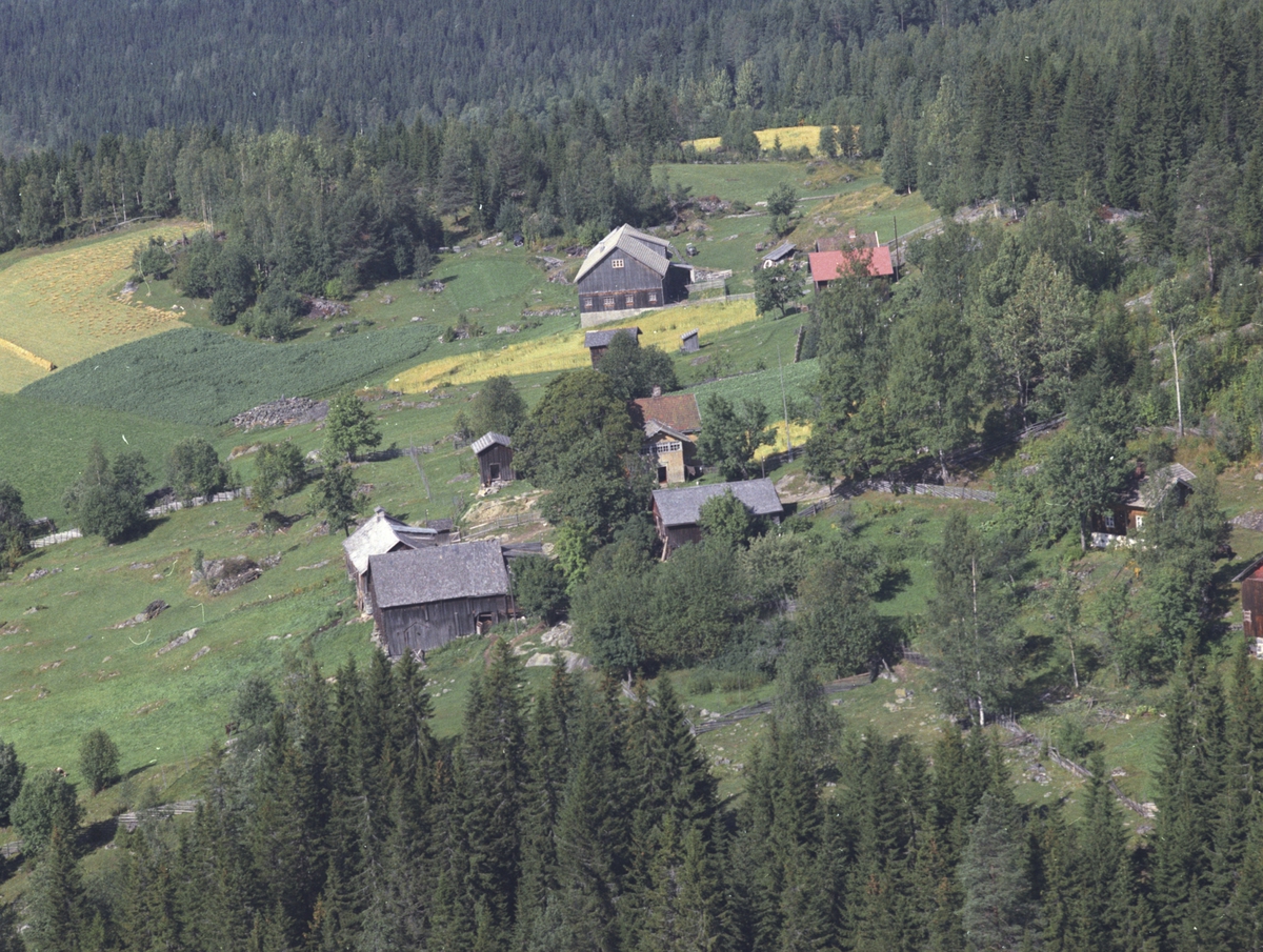 Widerøes Flyveselskap A/S, Flyfoto, Søndre Jørgensborg 445.2 med Nordre Jørgensborg øverst i bildet. Lismarka, Ringsaker.