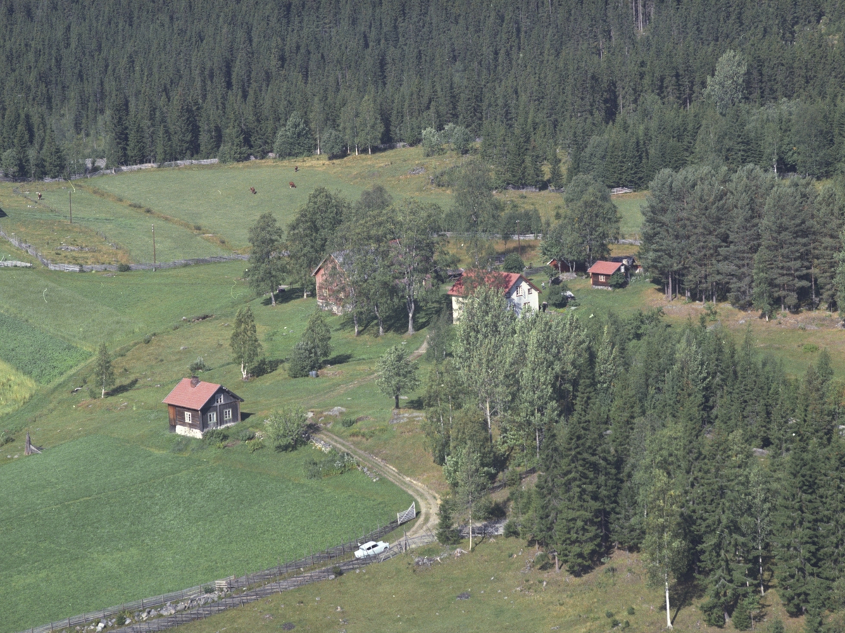 Widerøes Flyveselskap A/S, Flyfoto, ukjent gardsbruk, Lismarka, Ringsaker.