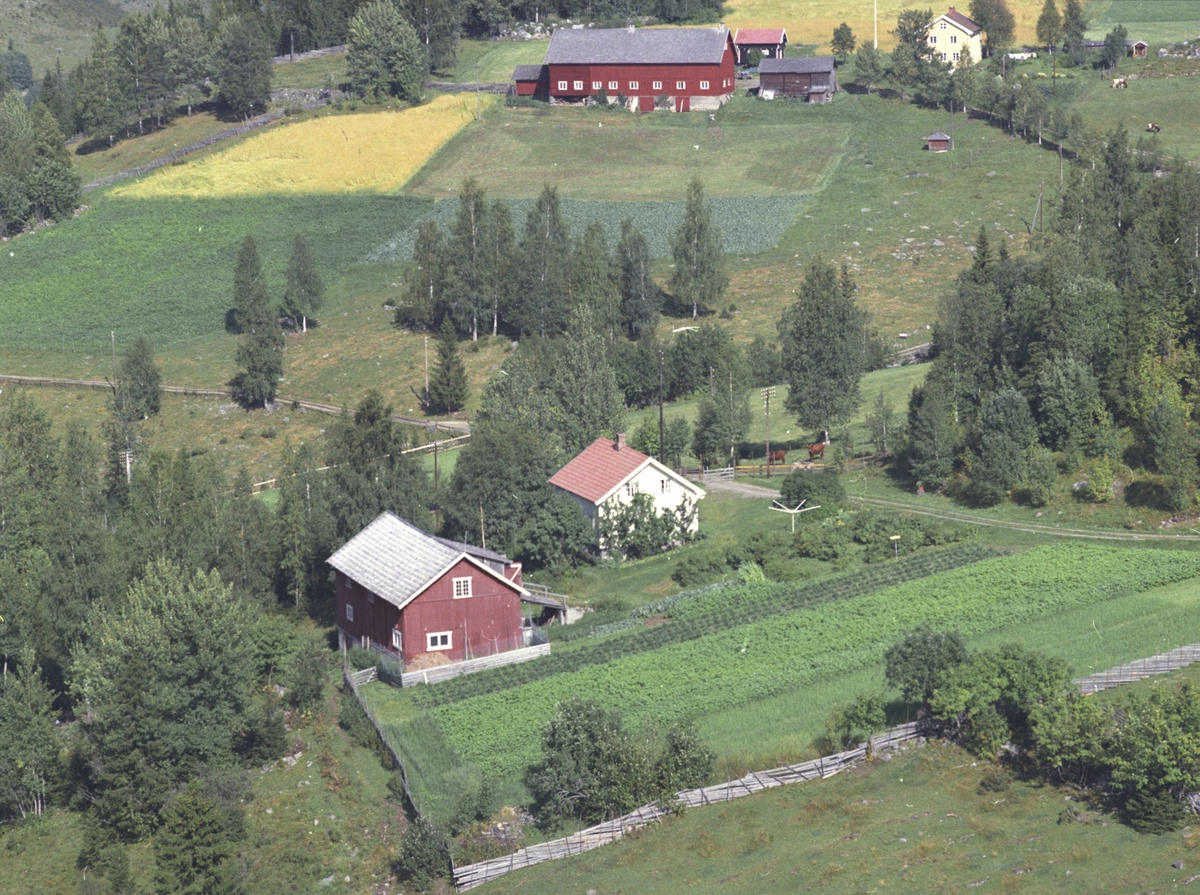 Widerøes Flyveselskap A/S, Flyfoto av Skogstad i Lismarka, Ringsaker. Kulprudenga i bakgrunnen.
