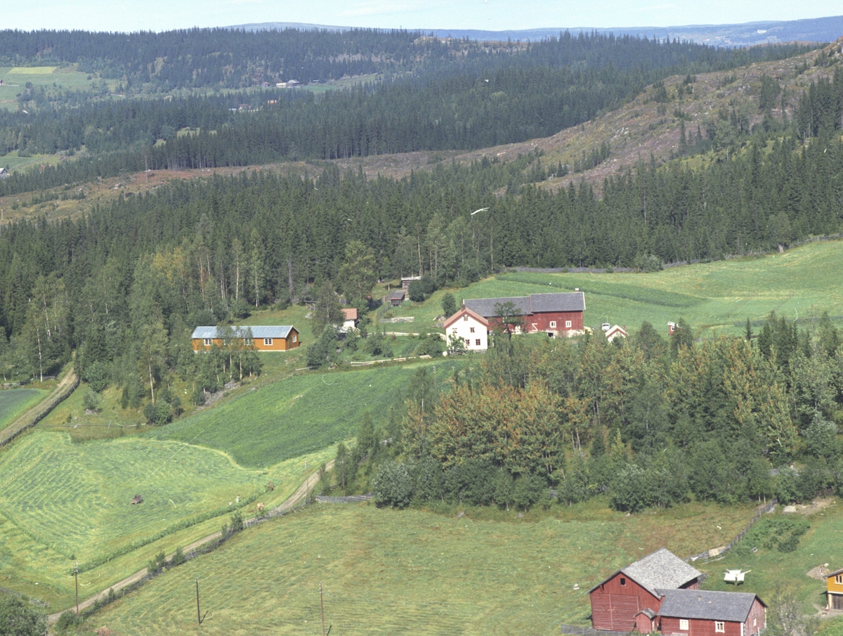 Widerøes Flyveselskap A/S, Flyfoto, Lillehagan, Lismark, Ringsaker.