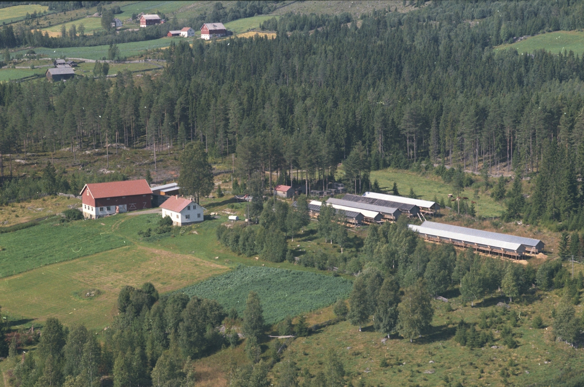 Widerøes Flyveselskap A/S, Flyfoto, Lohnbakkstuen 463.2. Bakkeli g.nr. 459.5 og Brandrud g.nr. 459.14 øverst i bildet, Lismarka, Ringsaker.