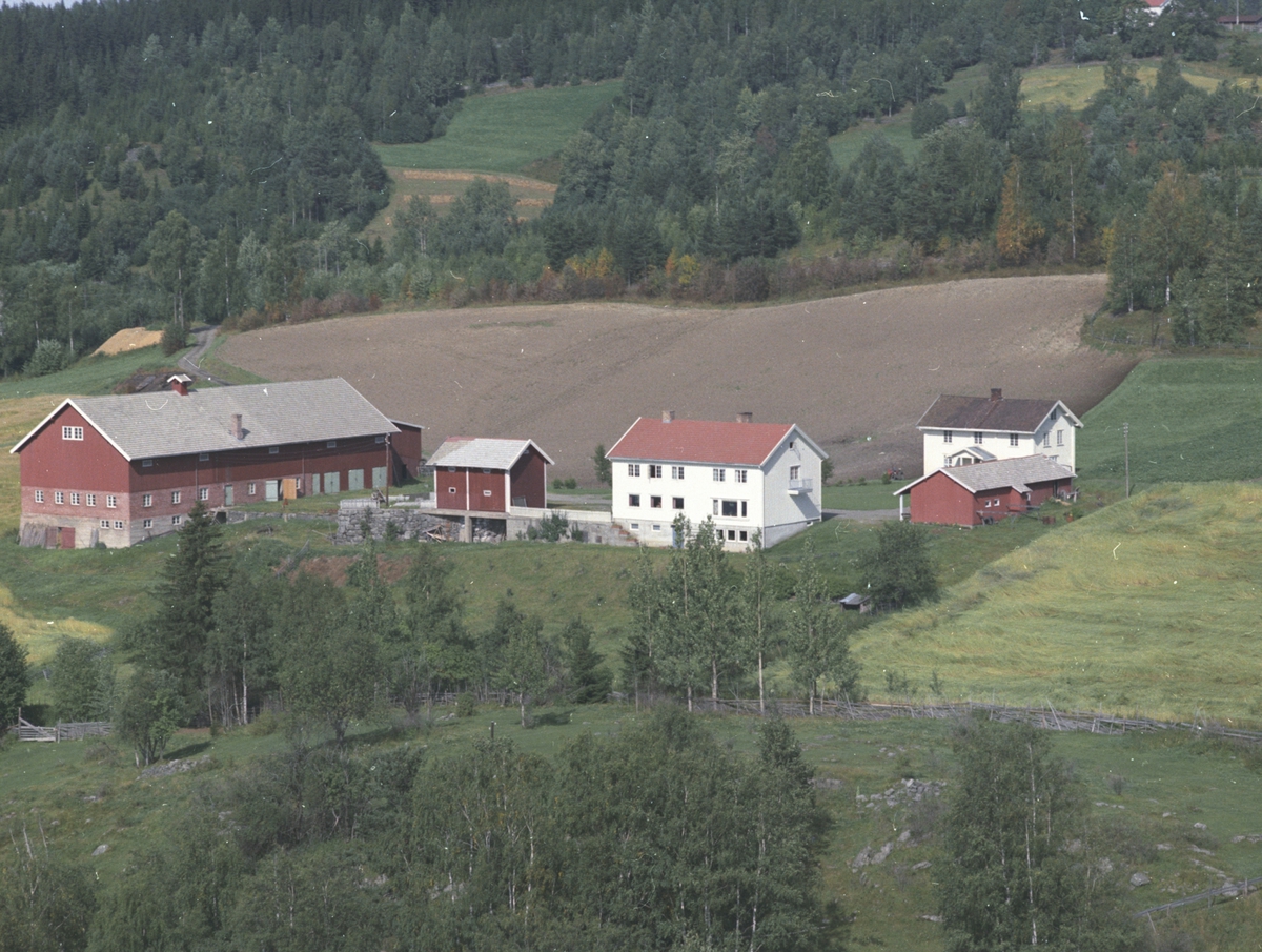 Widerøes Flyveselskap A/S, Flyfoto, ukjent gardsbruk, Bergseng, Ringsaker.