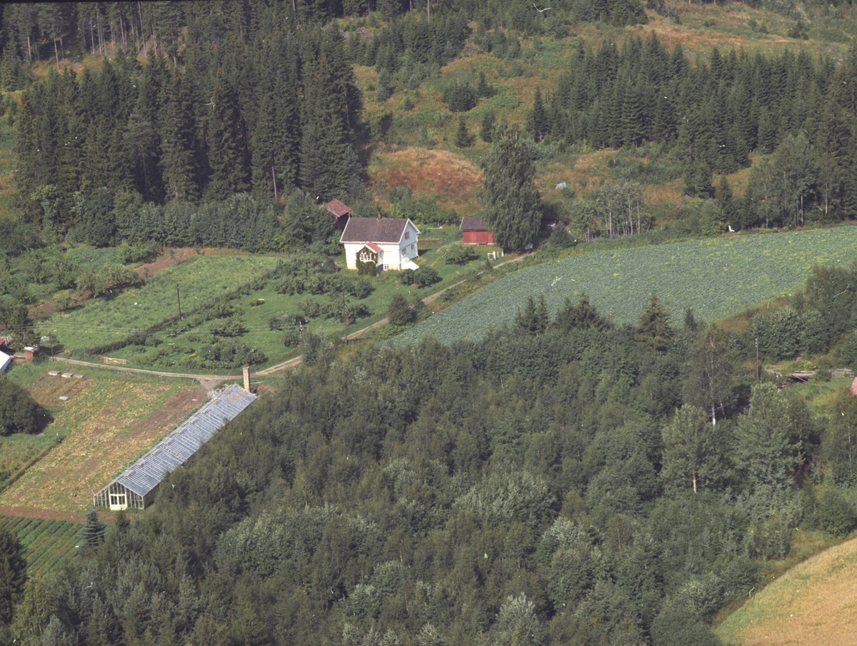 Widerøes Flyveselskap A/S, Flyfoto, bolig, Haugli, Bergsengroa, Brøttum, Ringsaker.