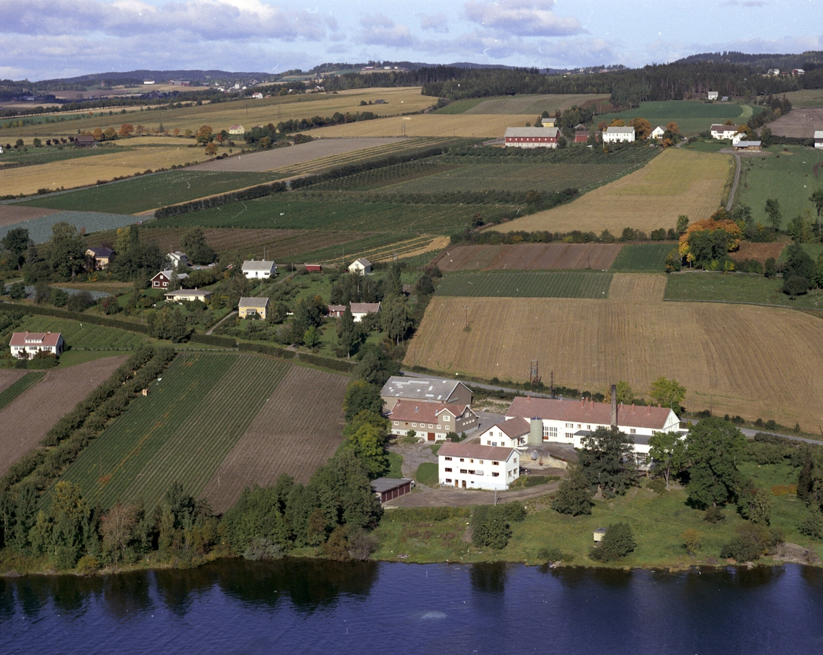 Widerøes Flyveselskap A/S, Flyfoto, Nes Meieri, Nes Vaskeri, gartnerhallen, Mjøsa, Nes, Hedmark.