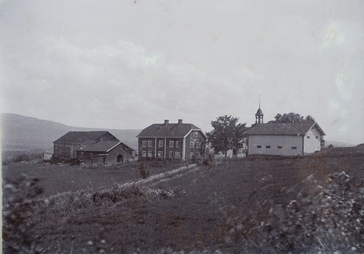 Anno Domkirkeodden, Oversikt, Dæli gård, Veldre, hovedbygning, stabbur, låve.