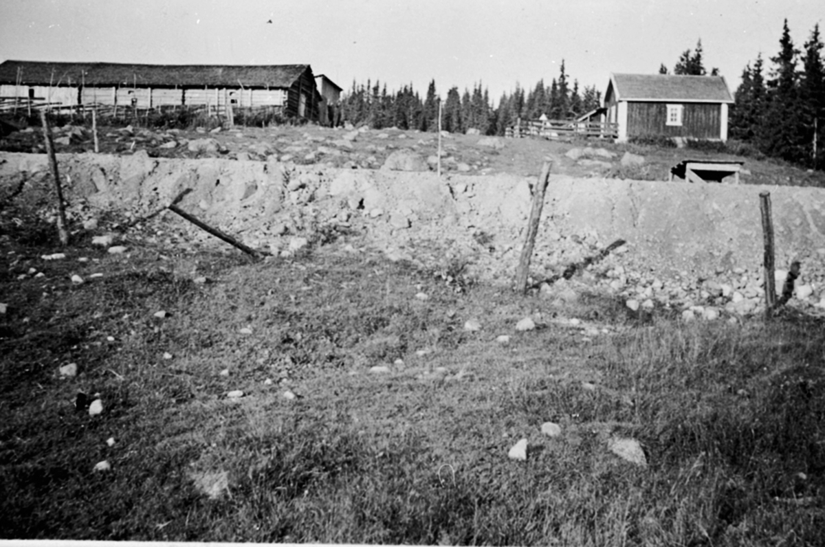 Anno Domkirkeodden, Ny veg til Olshølen setermeieri, Kvarstadsetra, Ringsakerfjellet.