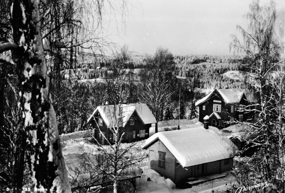 Anno Domkirkeodden, Oversikt, Veldre jernbanestasjon, Ringsaker.