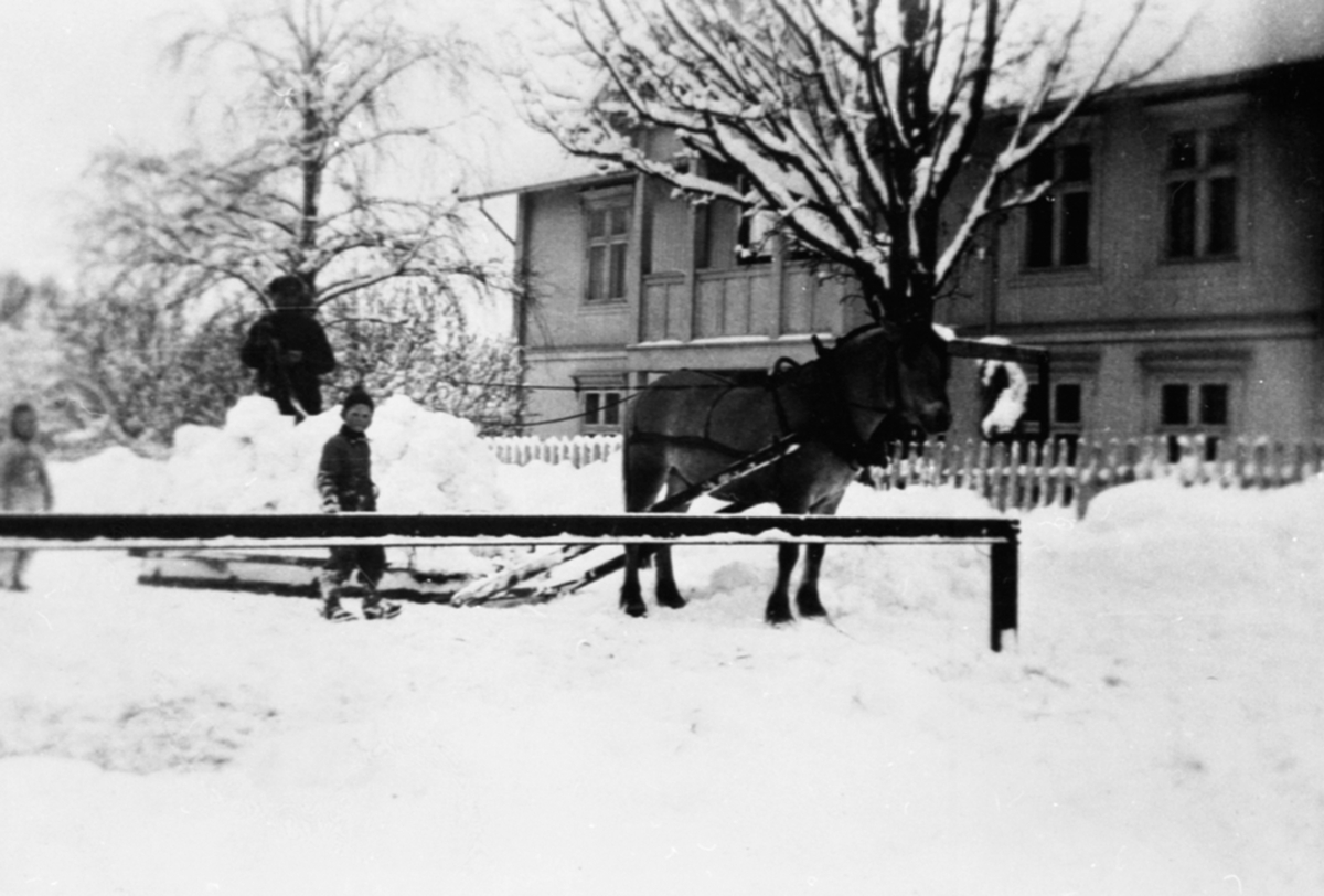 Anno Domkirkeodden, Olai Larsen kjører snø med hest og slede på Nybakken øvre, Brumunddal. To barn er med. Reidun Lundby og Brit Lundby. Kongsvegen 11.