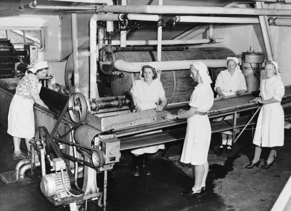 Anno Domkirkeodden, Interiør, sorteringsmaskin på A/S 0plandske Konservesfabrikk, Stabburet, Nora. Brumunddal. Damer vasker epler. Fra venstre er Signe Larsen, Mimi Bergaust, Klar Myhr, ukjent.
