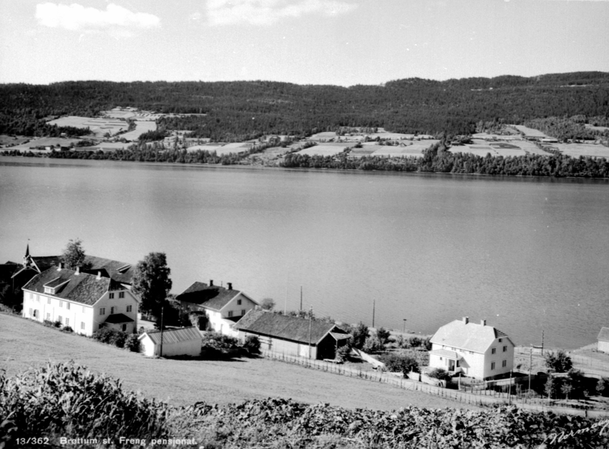 Anno Domkirkeodden, Oversikt Freng pensjonat, Freng søndre, Brøttum, Ringsaker. Utsikt mot Mjøsa.