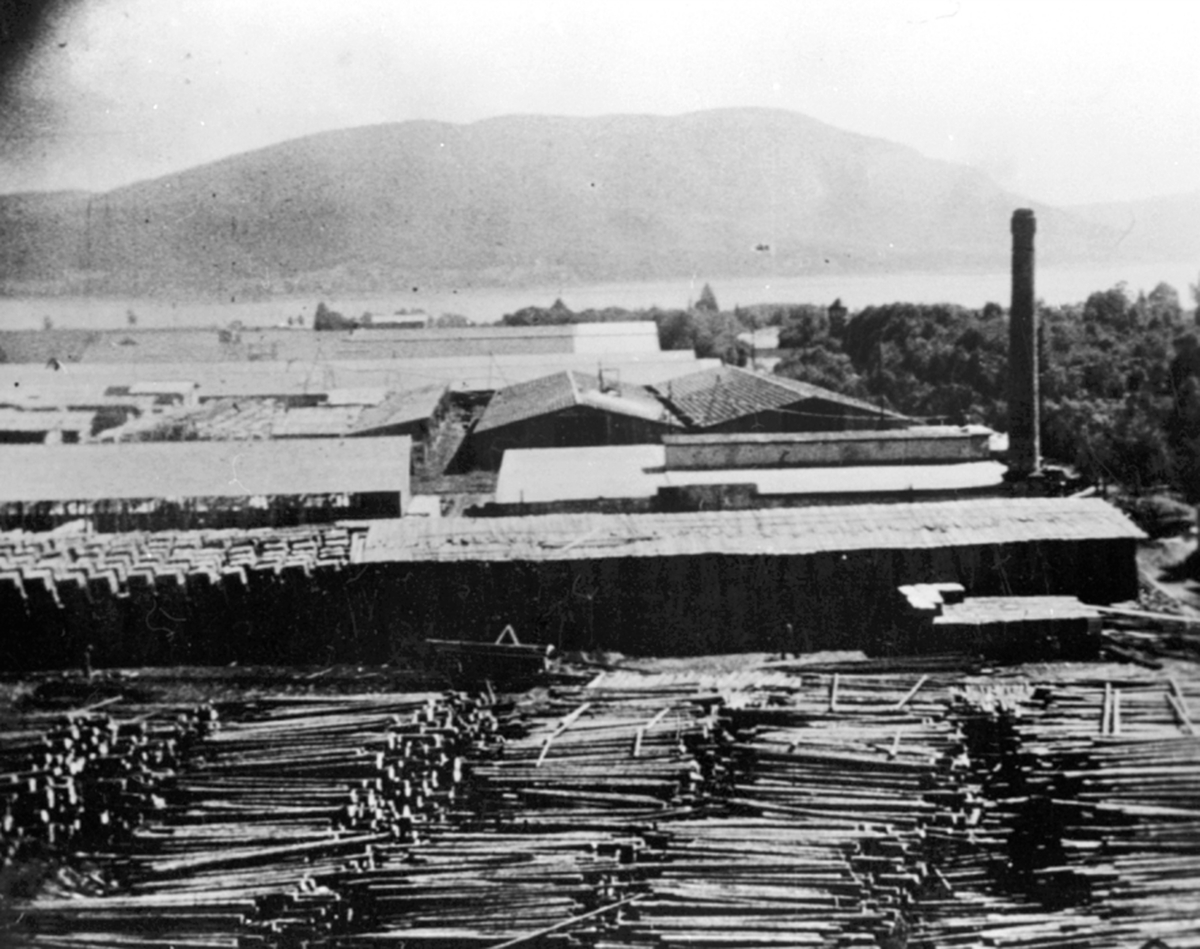 Anno Domkirkeodden, Oversikt fabrikkområdet før wallboardfabrikken ble bygd, Berger Langmoen A/S, Brumunddal.