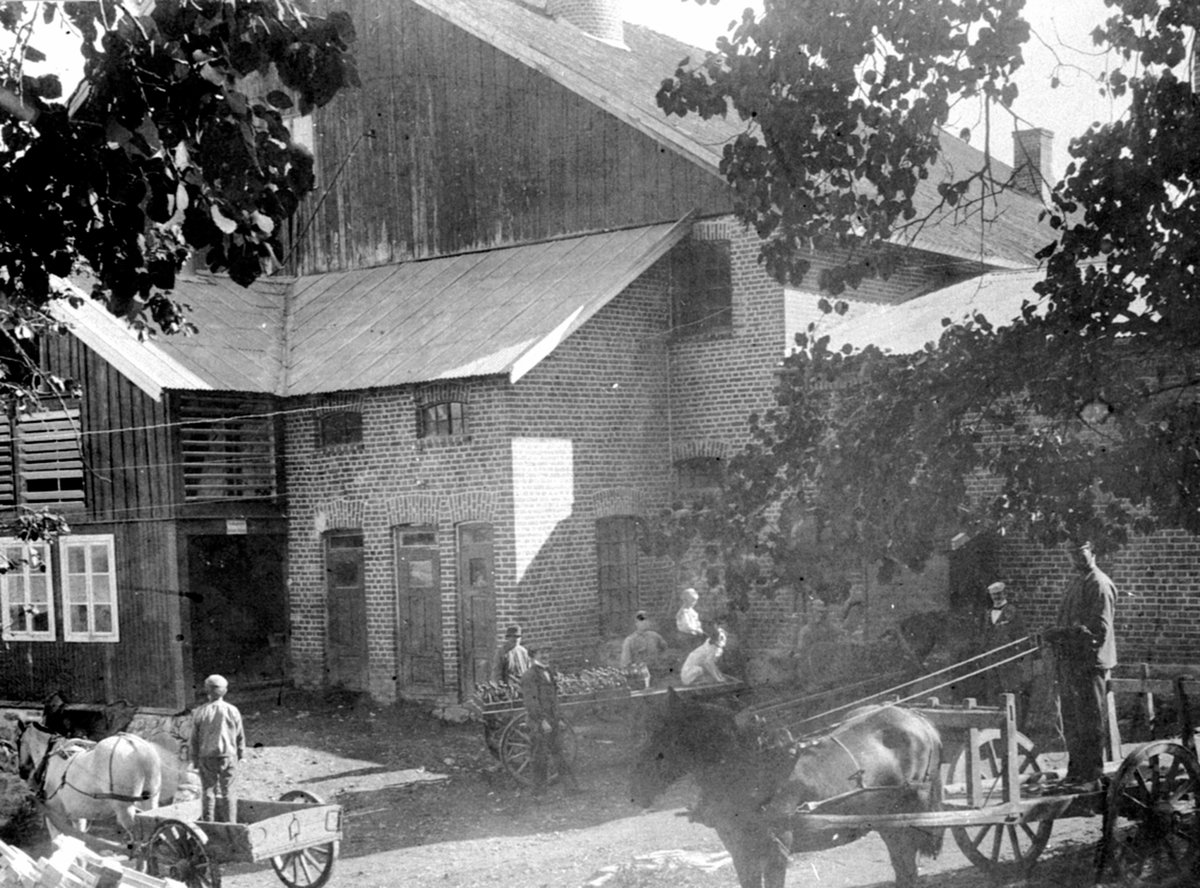 Anno Domkirkeodden, Eksteriør, Nerkvern bryggeri, Brumunddal, hester, kjerre, kaase med flasker, Birger Bjerke m/hvit skjorte, Thore Bjerke i døråpningen, gutten.