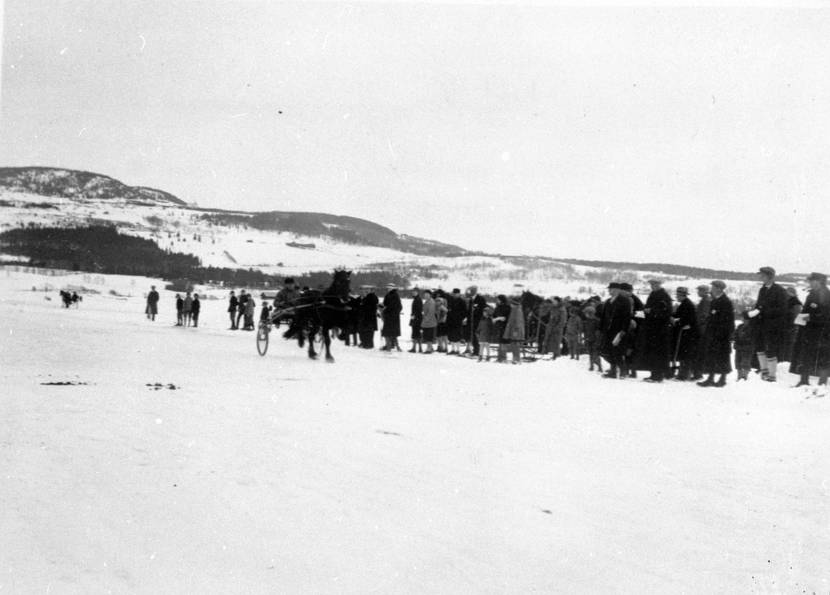 Anno Domkirkeodden, Travhest med sulky,travløp på Mjøsisen utenfor Brumunddal. Folk og hester.