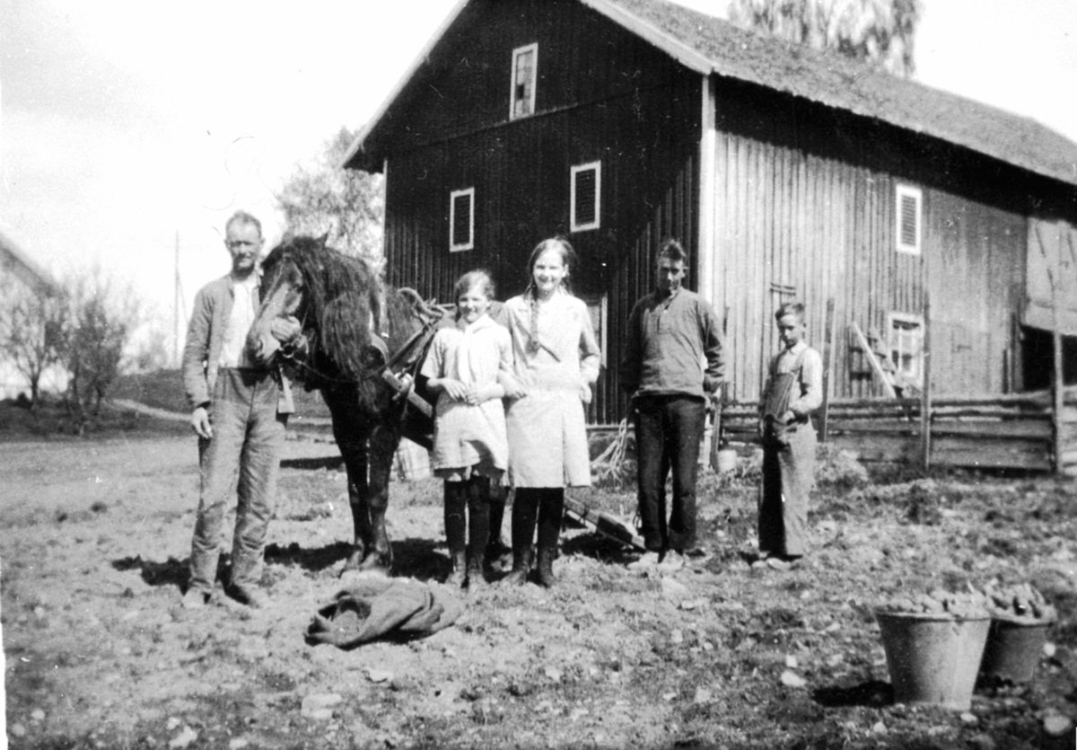 Anno Domkirkeodden, Potetsetting i Vestgård. Fra venstre er bruker Richard Carlsson med hest, Hjørdis Nyborg, Aslaug Nyborg, ukjent gutt. Bøtter med settepotet. I dag ligger Brumunddal sykehjem her.