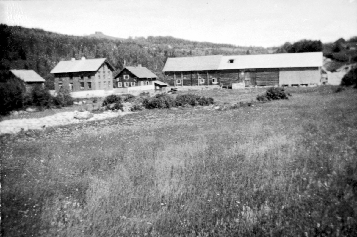 Anno Domkirkeodden, Oversikt, Prestseter gård, Furnes, Ringsaker.