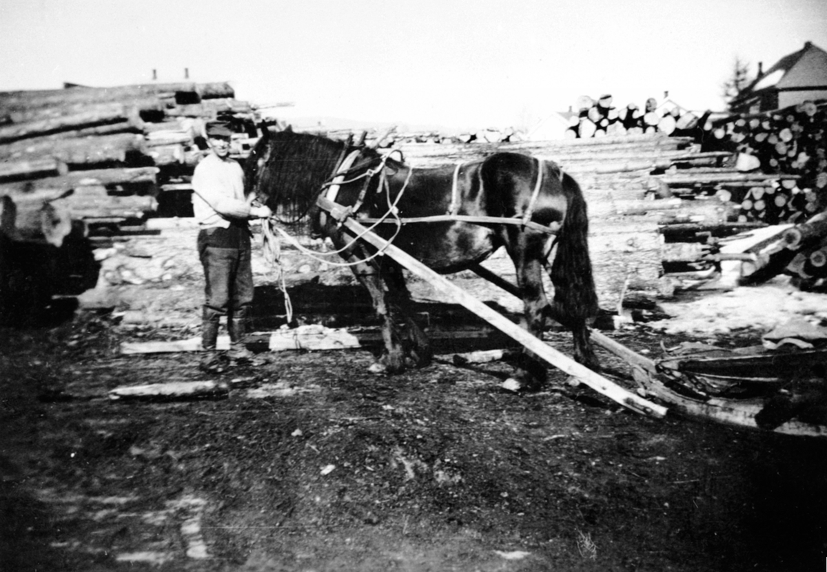 Anno Domkirkeodden, Marthinius Mathisen Gjerengen med hest og tømmerrustning på sagtomta til Berger Langmoen A/S på Granerudenga, Brumunddal.