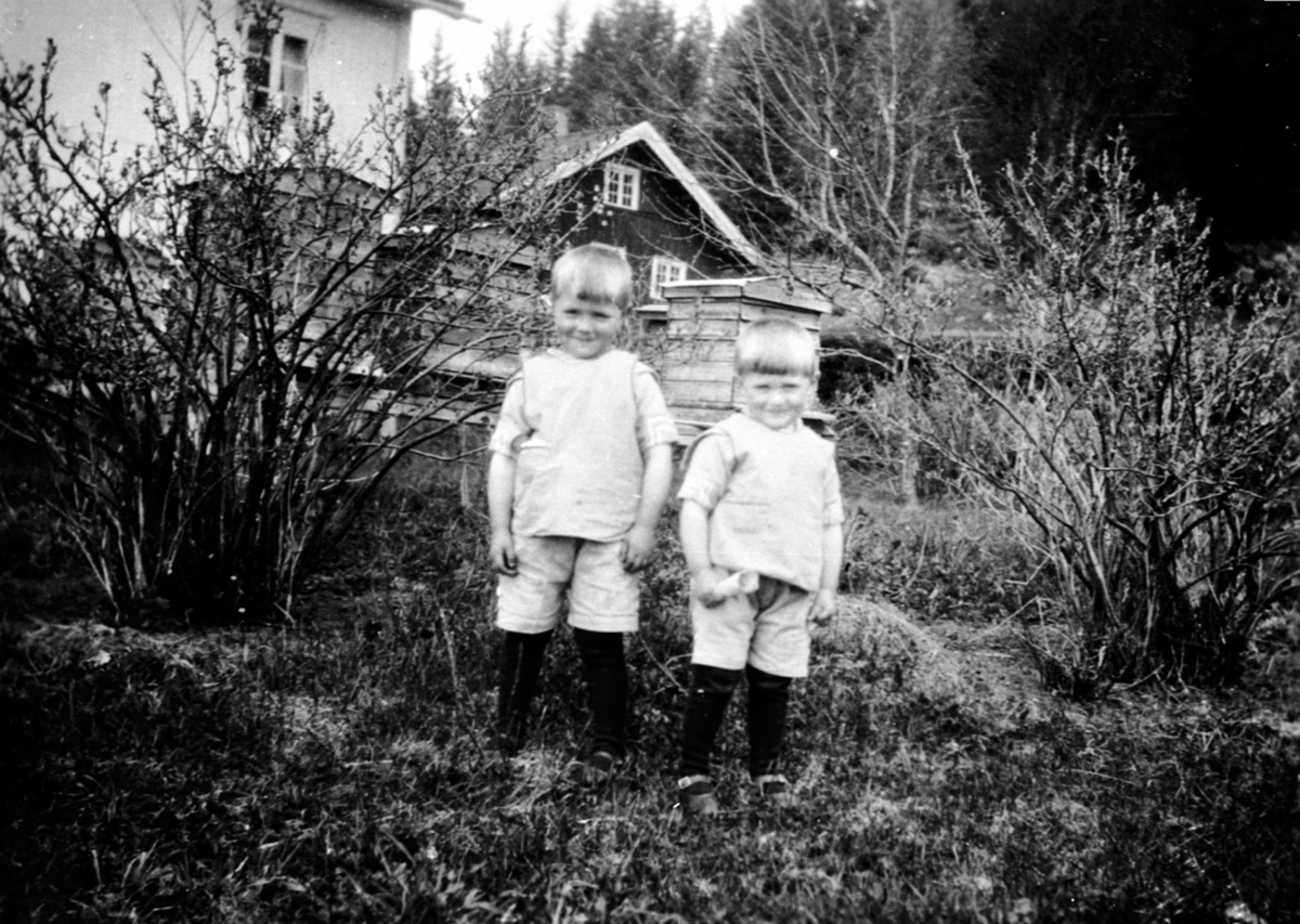 Anno Domkirkeodden, 2 smågutter i hagen på Hauger gård, Ring, Ringsaker. Bikuber i bakgrunn.