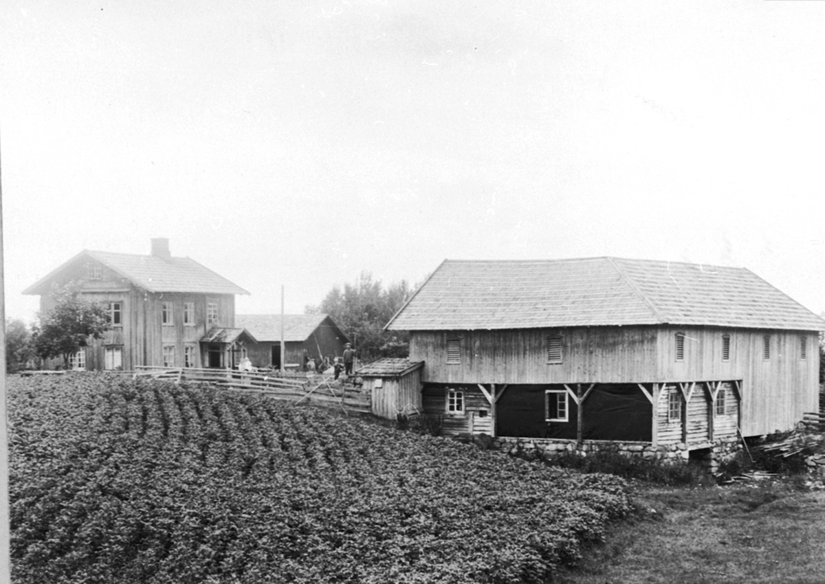 Anno Domkirkeodden, Eksteriør, gardsbruk, Nystuen øvre, Kvernstubrua, Ringsaker. Hovedbygning og låve. Folk på gardsplassen. Eier da bildet ble tatt: Theodor Holum.