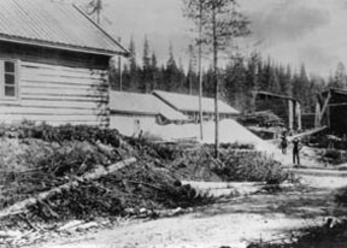 Anno Domkirkeodden, Buvika sag, sagbruk, Ringsaker Almenning, Næroset.