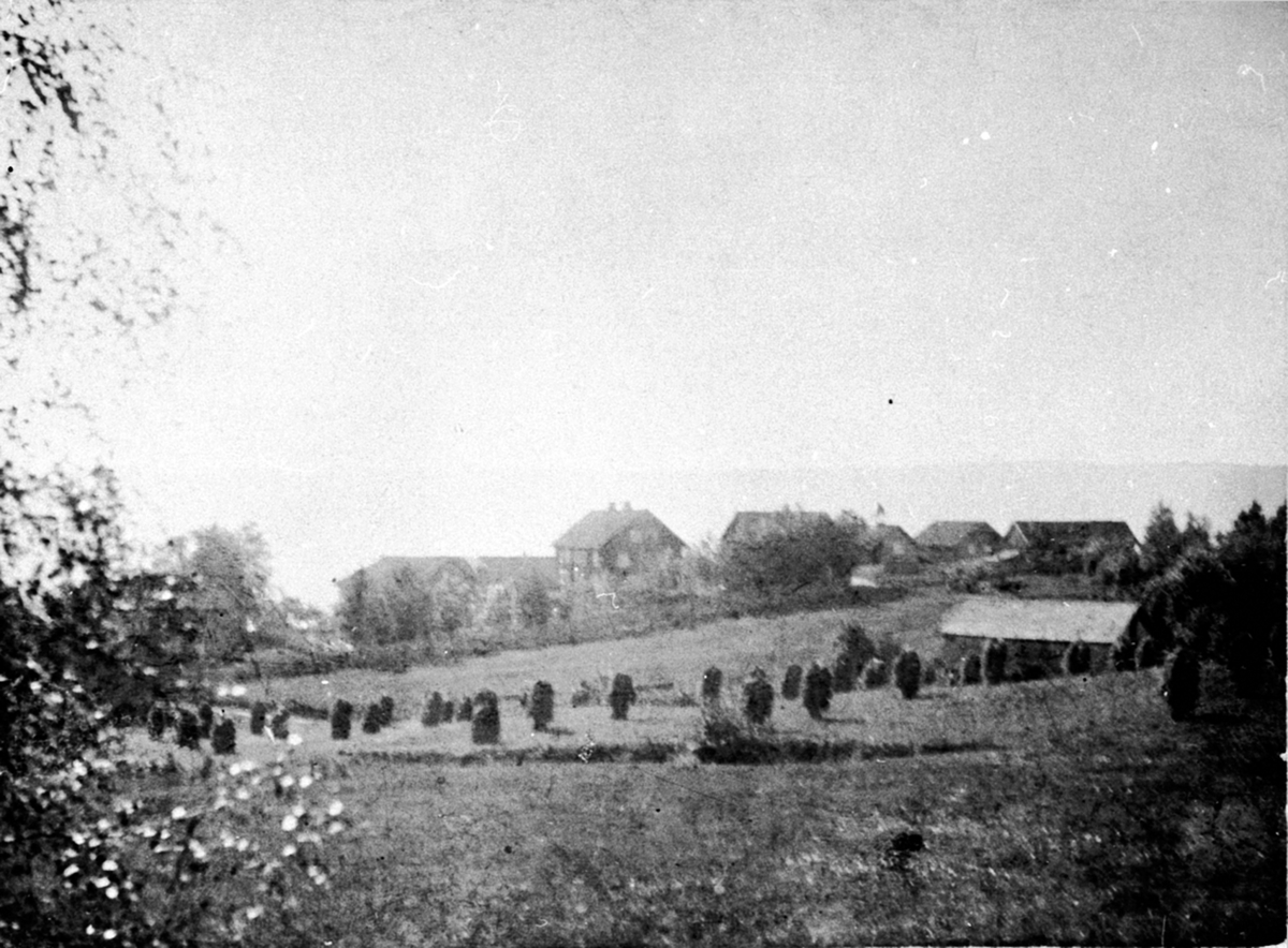 Anno Domkirkeodden, Oversikt Mælum nordre, Brøttum, Ringsaker.