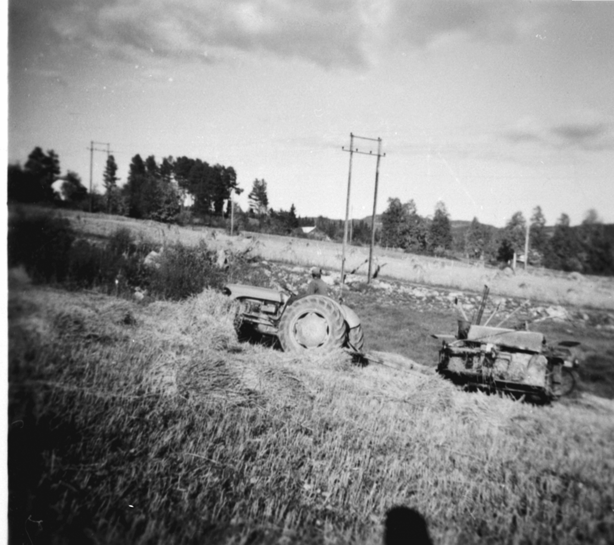 Anno Domkirkeodden, Skuronn på Skavlien, Ringsaker. Mann på Fordson traktor med selvbinder.