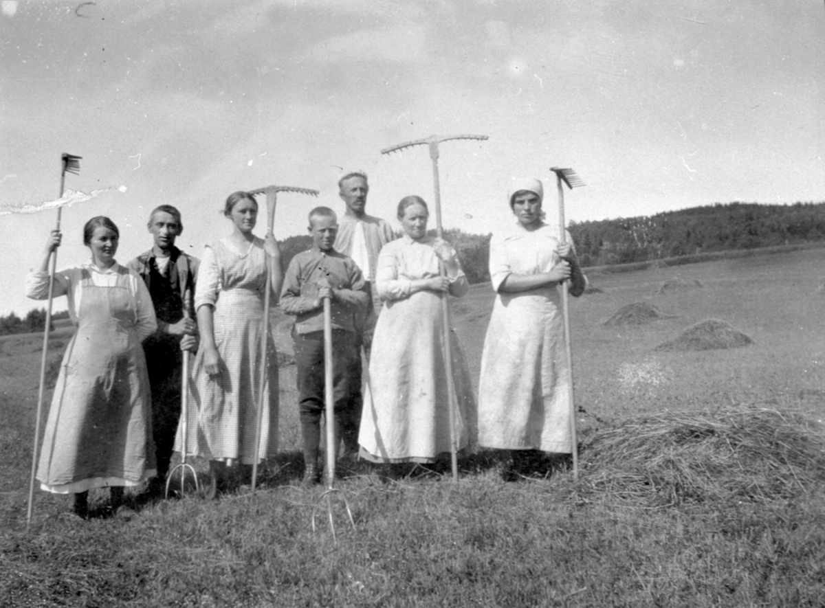 Anno Domkirkeodden, Slåttonn på Svenskerud (senere kalt Høgring), fra venstre er Klara Langgaard, Svein Langgaard, Anna Ulven, Olaf Levernes, Ole Levernes, Marie Levernes. Senere kalt for Høgring (351/1).