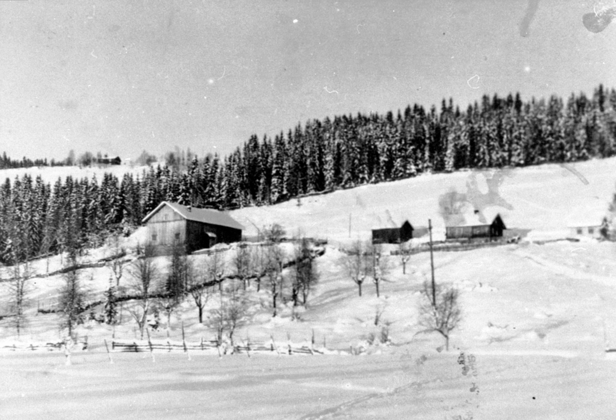 Anno Domkirkeodden, Mikkelengen gård, Åsmark, Ringsaker. Vinter.