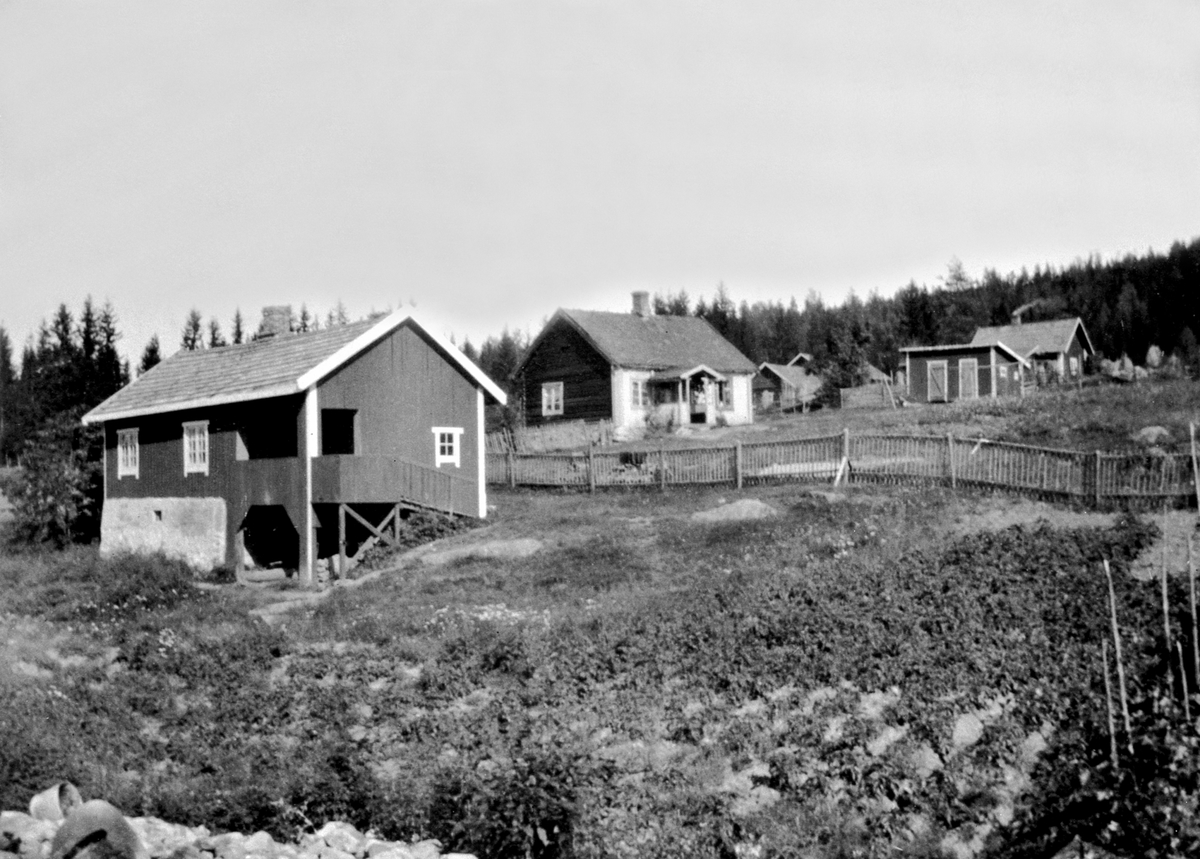 Anno Domkirkeodden, Husmannsplasser under Senstad, Nes, Hedmark. Vangen, Nersveen og Øversveen. Sendstadvangen er det fremste huset. Er fra ca 1930 gått under navnet Vangenstua. Vangenstua er bevart i dag. Ellers er det Sendstadstøen vi ser rett bakenfor og utedo til høyre i bildet. Bak toalettene er Nersveen og lengs…
