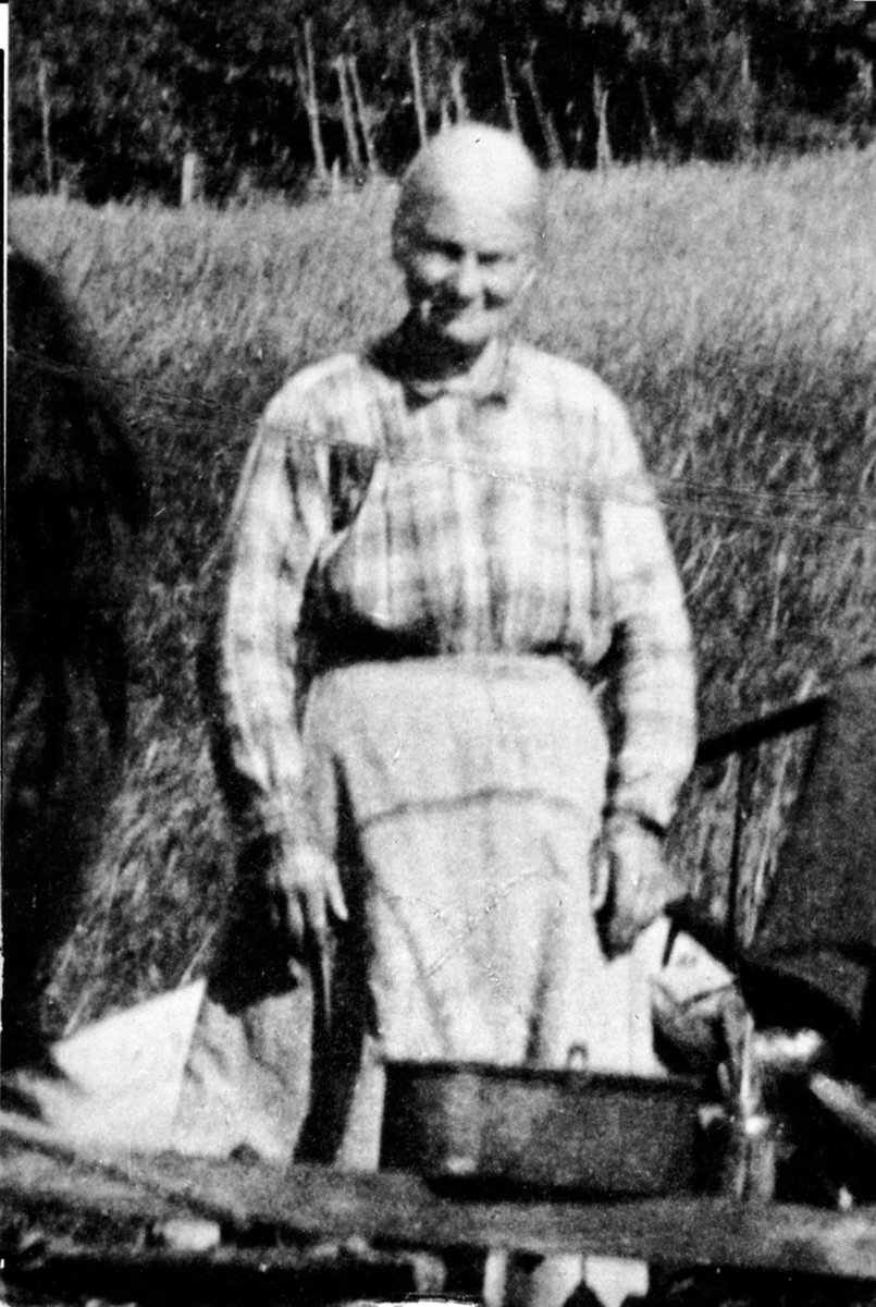Anno Domkirkeodden, Agnethe Mæhlum (1865-1957) serverer eftaskaffe til høykjørere, Mælum, Veldre, Ringsaker.