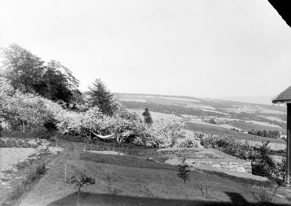 Anno Domkirkeodden, Hageanlegg, utsikt fra Simenstad gård mot Tokstad, Veldre, Ringsaker.