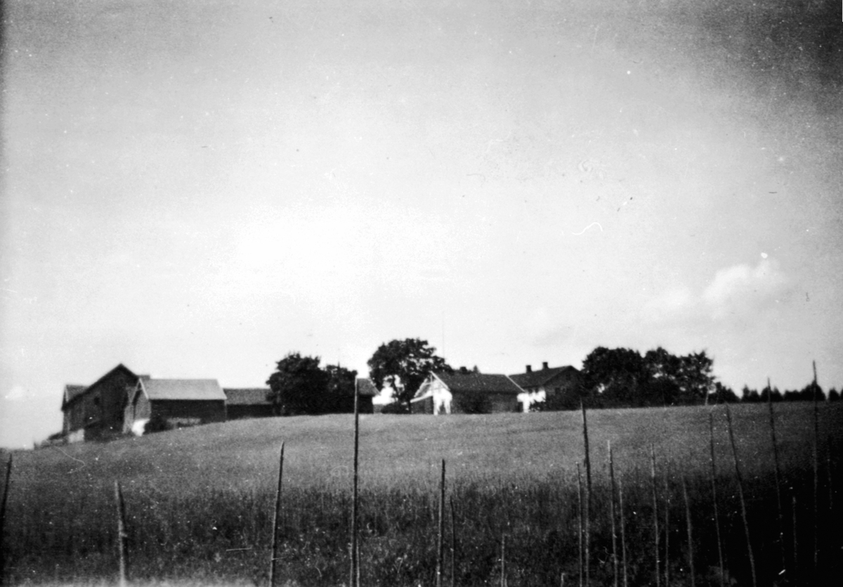 Anno Domkirkeodden, Bogsti gård, Veldre, Ringsaker.