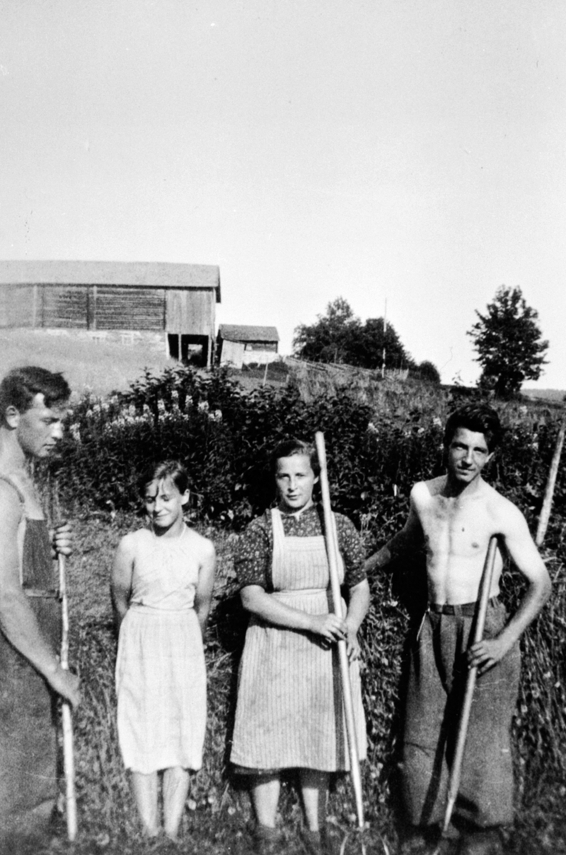 Anno Domkirkeodden, Slåttonnfolk med river. Far venstre er Lars O. Steinbakken, Gudrun Steinbakken gift Viken, Anna Steinbakken gift Skogli, Johs. Steinbakken, Dalseng, Veldre, Ringsaker.