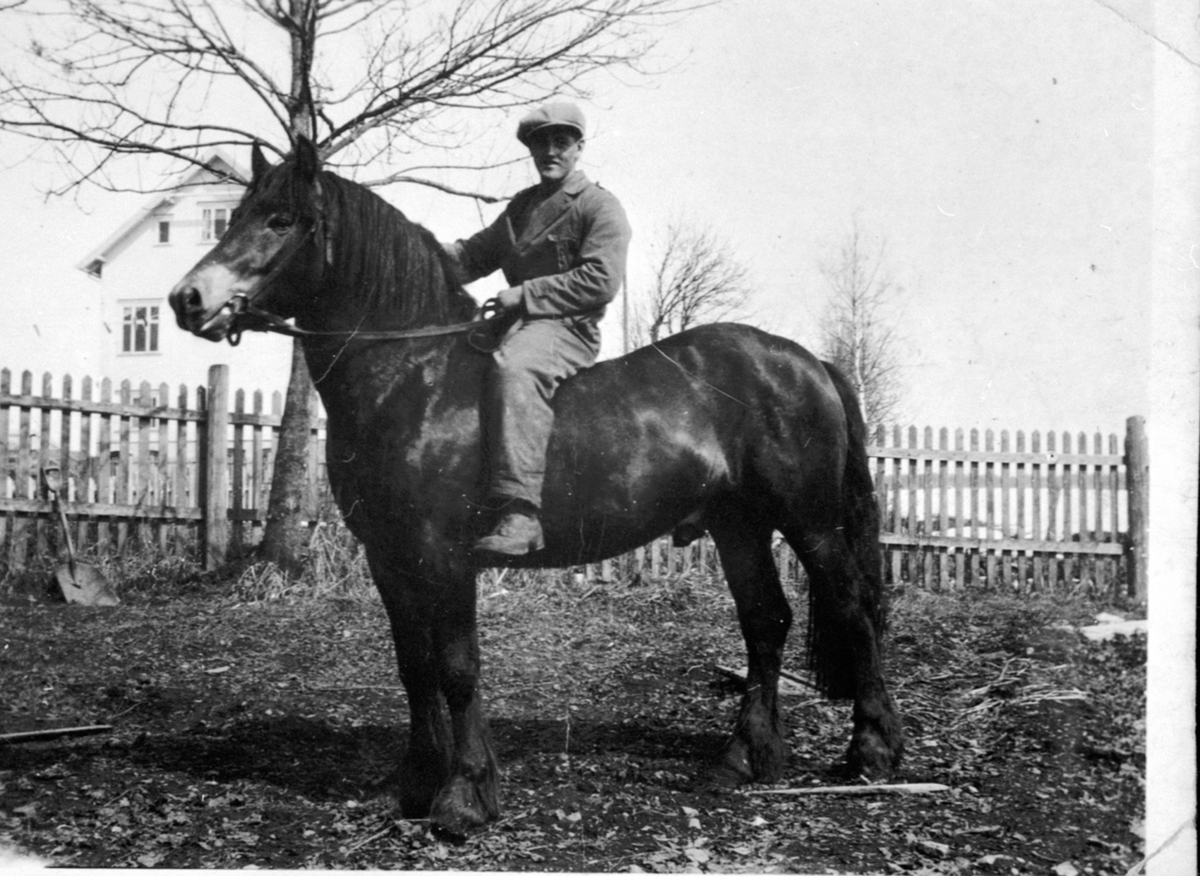 Anno Domkirkeodden, Birger Kleven til hest ved Solstad, Veldre. Kirkekretsen skole i bakgrunn.