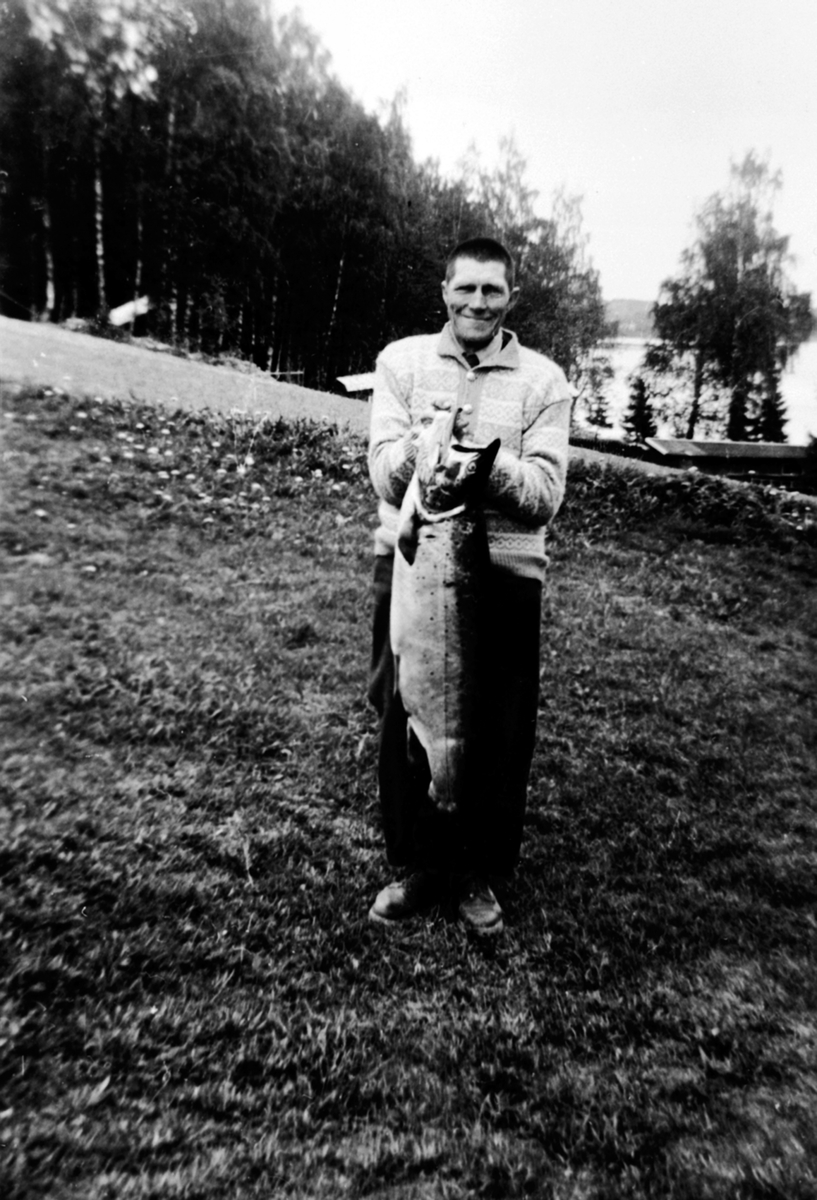 Anno Domkirkeodden, Mjøsfisker, Nils Hovelstuen, Furnes med mjøsørret på 11 kilo.