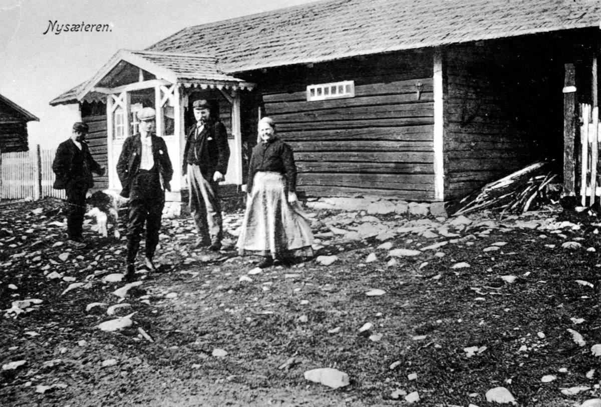 Anno Domkirkeodden, Eksteriør, størhus, seter. Nysetra, NArud gård, Veldre, Ringsaker.