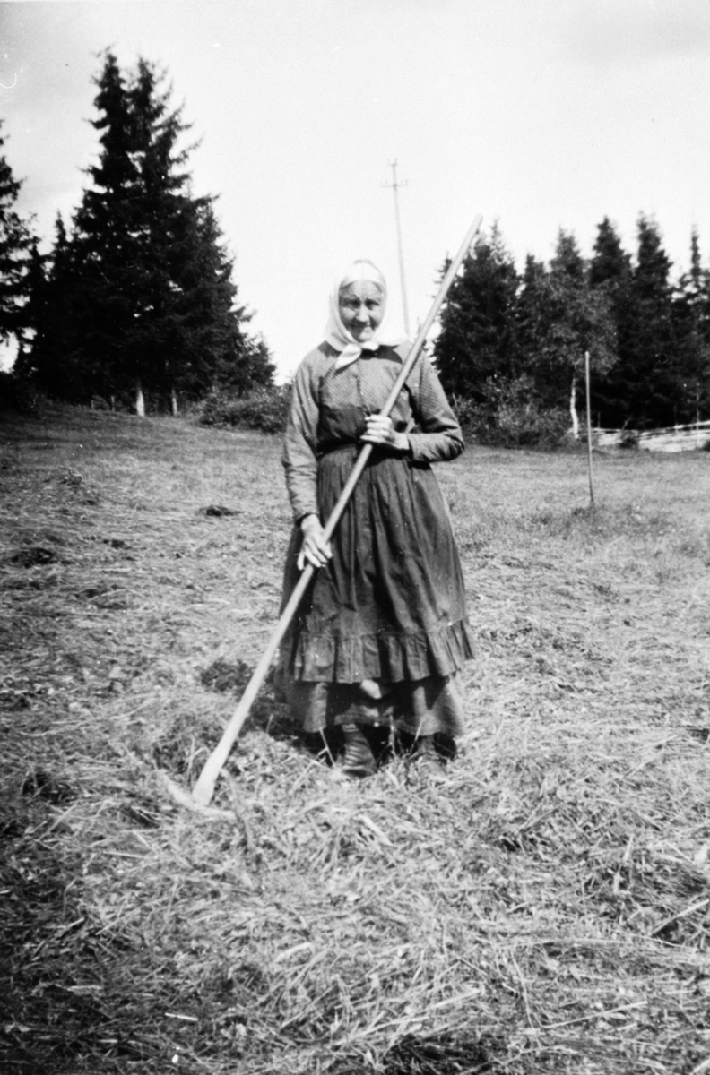 Anno Domkirkeodden, Høyonn på Sørum midtre, Veldre, Ringsaker. Eli Bergum med arbeidsklær og rive.