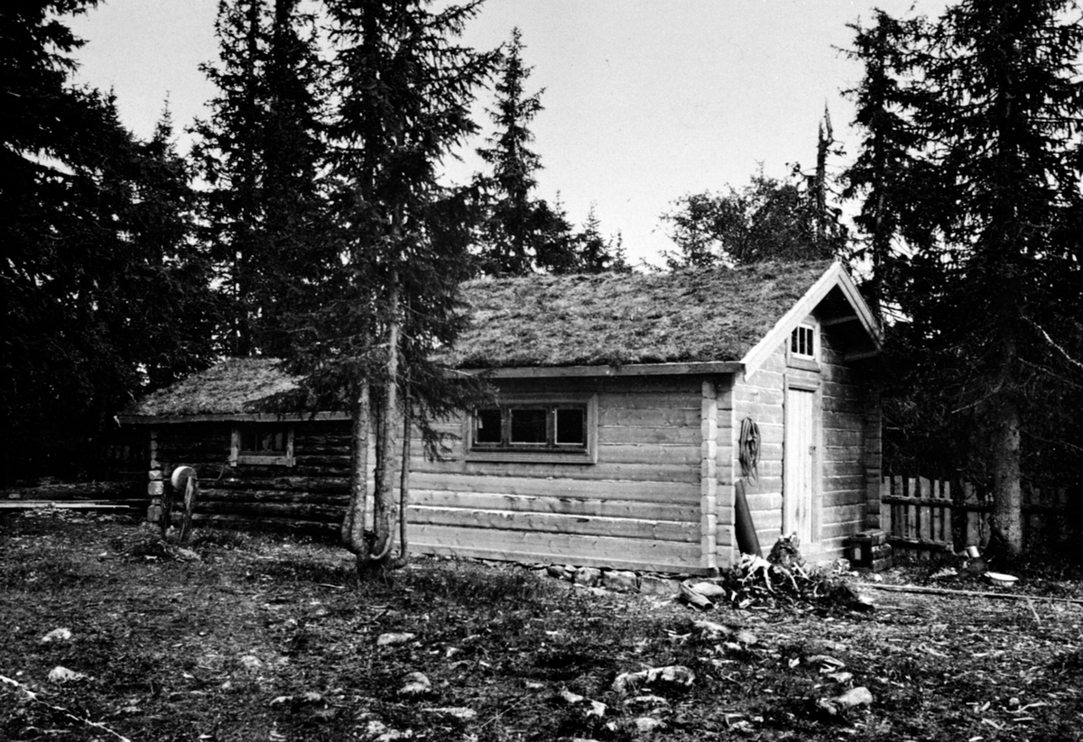 Anno Domkirkeodden, Eksteriør, hytte, Grunnbua, Ringsakerfjellet.
