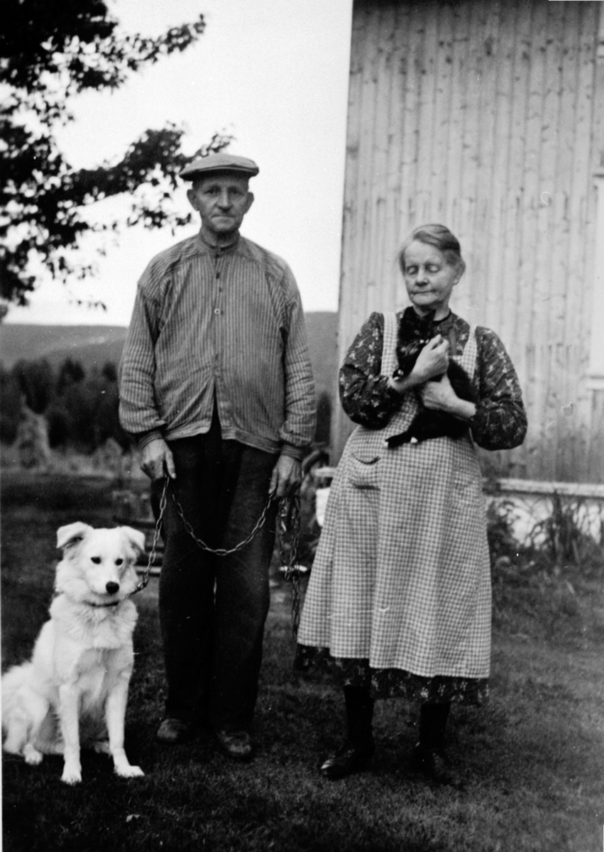 Anno Domkirkeodden, Børre Skjønsberg f.1878 og hustru Ingeborg f.1869 på Smikkerud lille, Moelv. Med hund og katt.