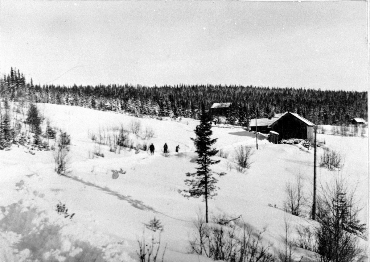 Anno Domkirkeodden, Gardsbruk, Kjeldalen, Bårdsethroa, Næroset, Ringsaker.