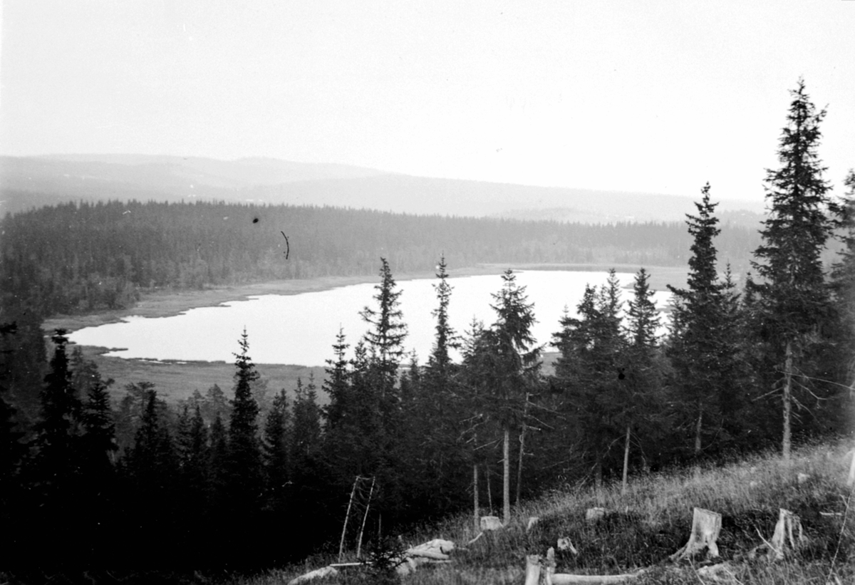 Anno Domkirkeodden, Utsikt mot Langtjernet, Veldre, Ringsaker.