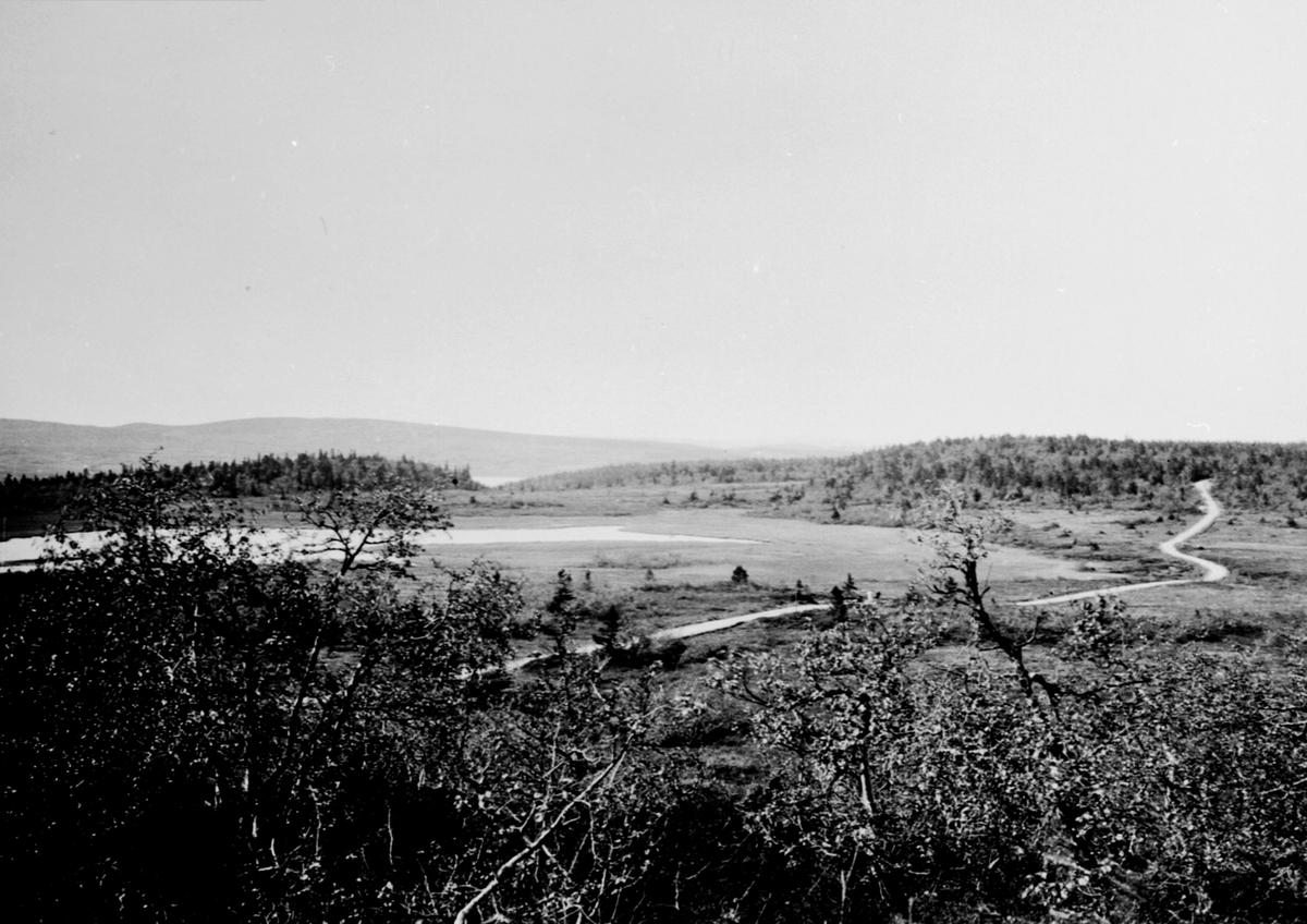 Anno Domkirkeodden, Veg forbi Kjærringtjernet på Ljøsheim, Ringsakerfjellet.